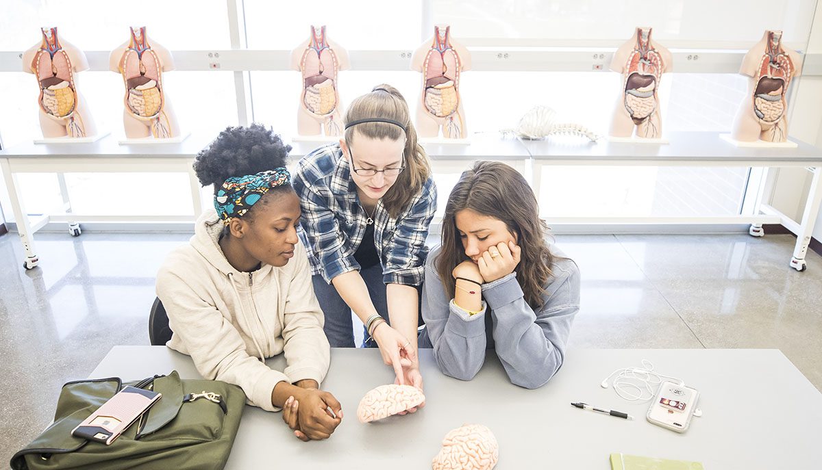 Students confer at an Anatomy Lab