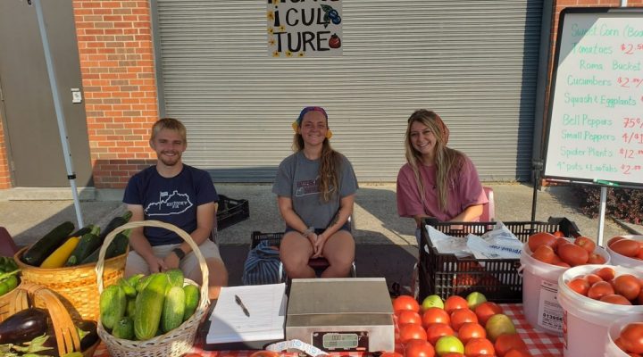 Horticulture students sell produce at the Madison County Farmers Market