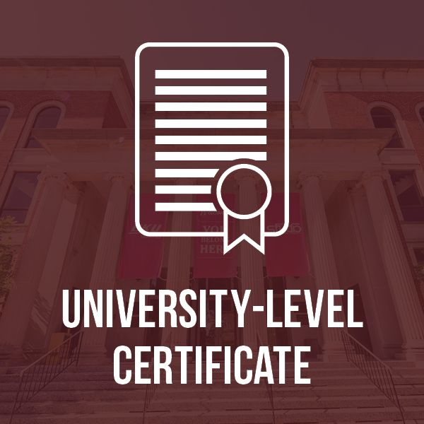 Earn a Certificate in Veterans Studies graphic and link