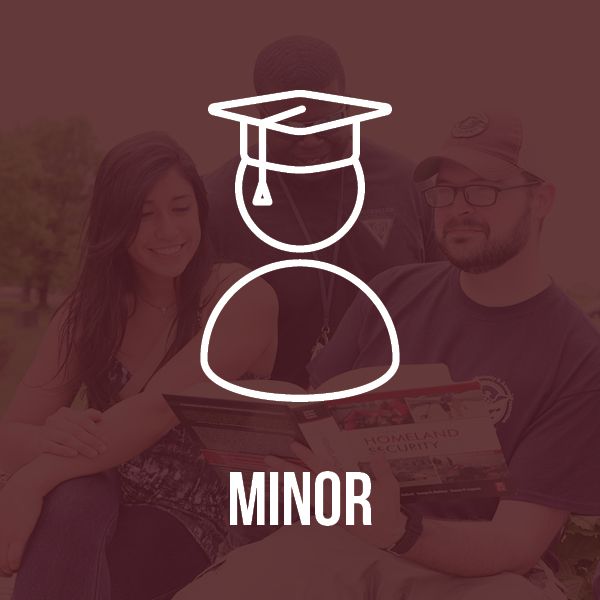 Earn a Minor in Veterans Studies graphic and link