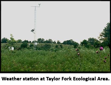 Weather Station at TFEA