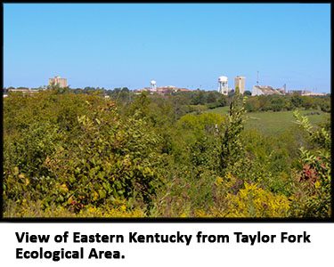 View of Eastern Kentucky University from TFEA