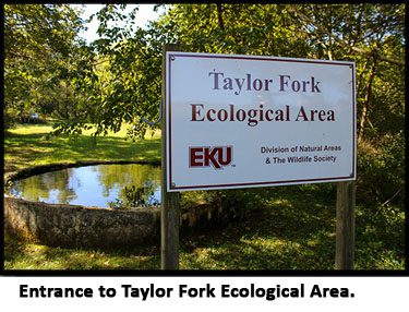 Entrance to Taylor Fork Ecological Area
