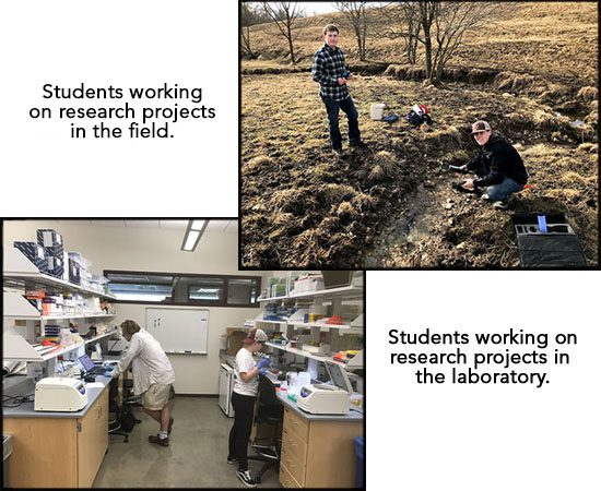 Students in the lab and field working on research projects