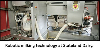 Robotic milkers at Stateland Dairy