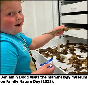 Benjamin Dodd visits Mammalogy Museum during Family Nature Day