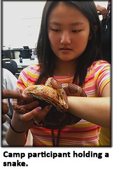 2022 camp participant holds snake