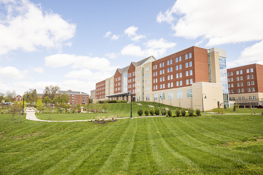 Recently mowed grass in front of Martin Hall on a sunny day during Spring