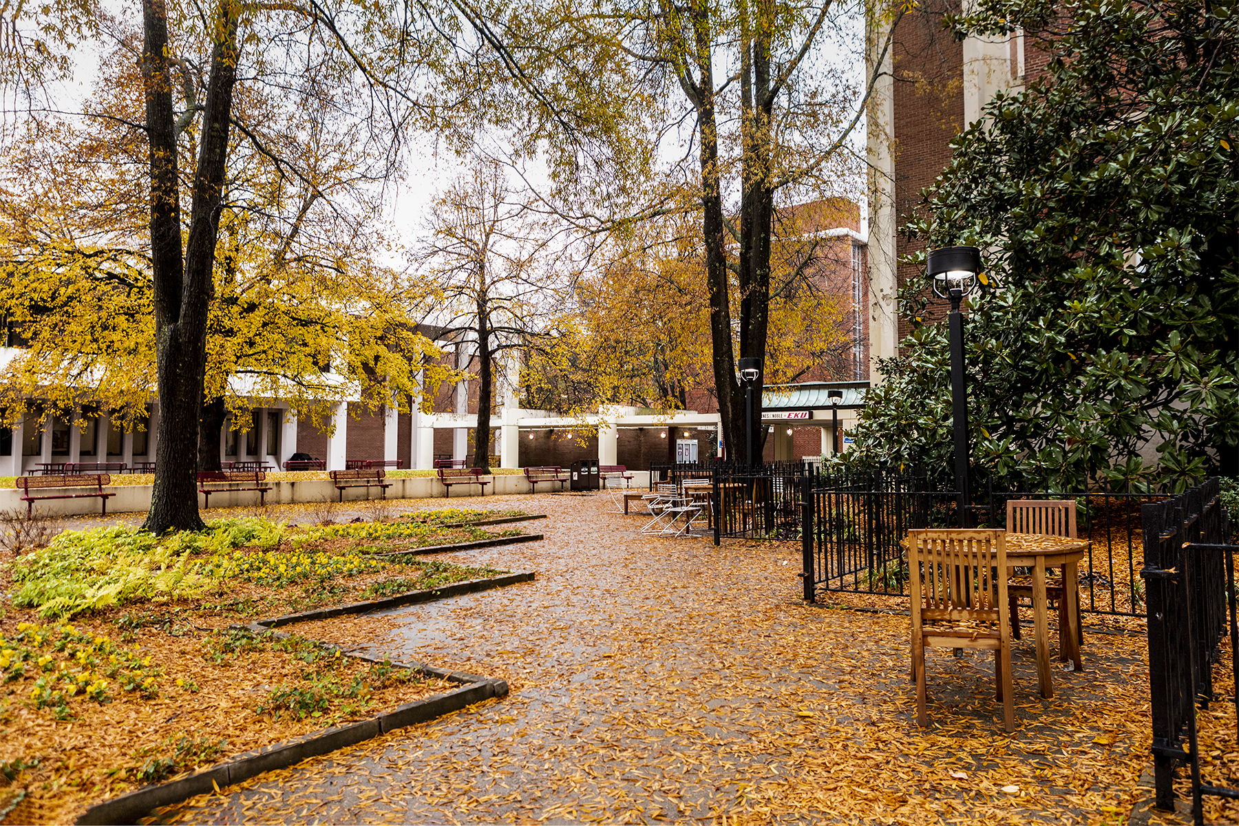 Wet leaves covering the ground and tables behind Keen Johnson