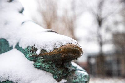 Toe of Daniel Boone Statue covered with snow