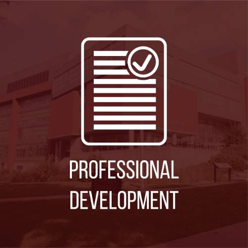 Professional Development Tile Graphic