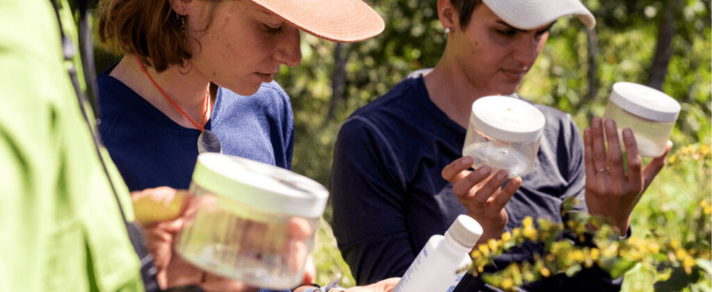 Two students, examine specimen outside with an instructor.