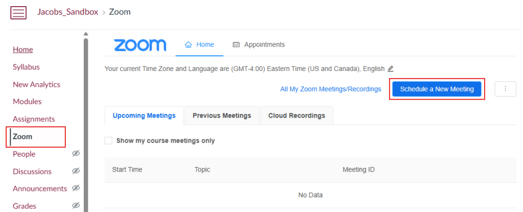 Once you have enabled the LTI you can schedule meetings by first clicking the “Zoom” item on the course nav bar and then selecting “Schedule a New Meeting”.